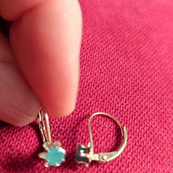 Elegant 10k Gold and Blue Earrings - Picture 5 of 7